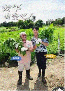一百次日落电影版剧照